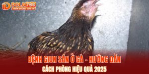 bệnh giun sán ở gà