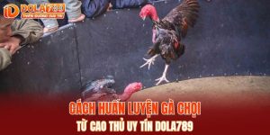 dola789.buzz - Hình 1