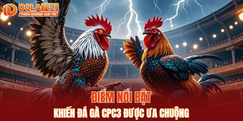 Điểm nổi bật khiến đá gà CPC3 được ưa chuộng
