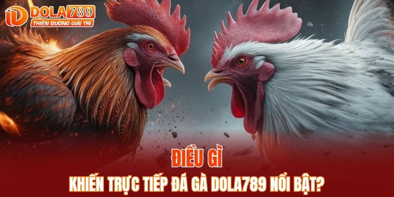 Điều gì khiến trực tiếp đá gà DOLA789 nổi bật?