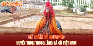 Dola789 – Khám Phá Thế Giới Đầy Kỳ Diệu Của Game Online