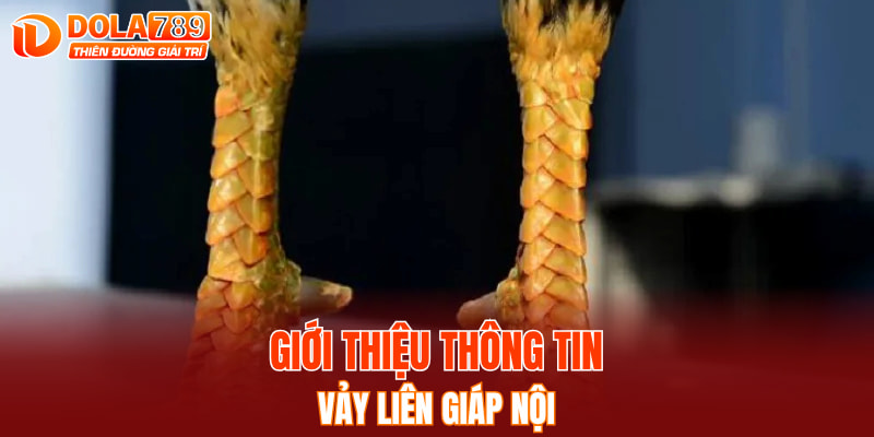Giới thiệu thông tin vảy liên giáp nội