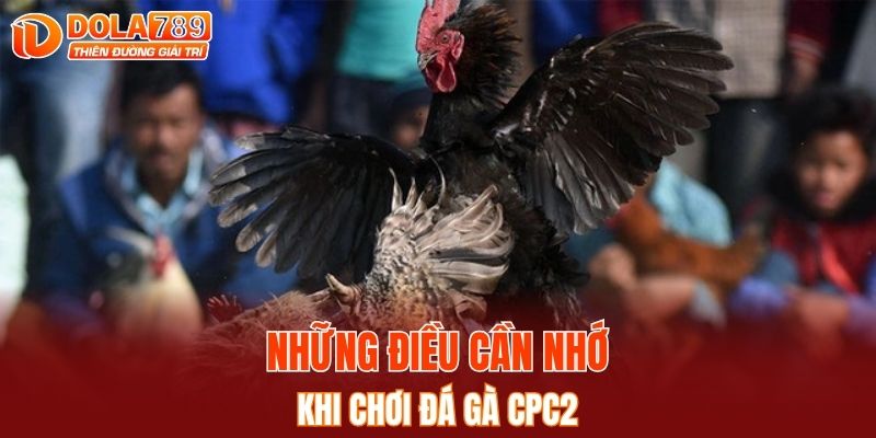 Những điều cần nhớ khi chơi đá gà CPC2