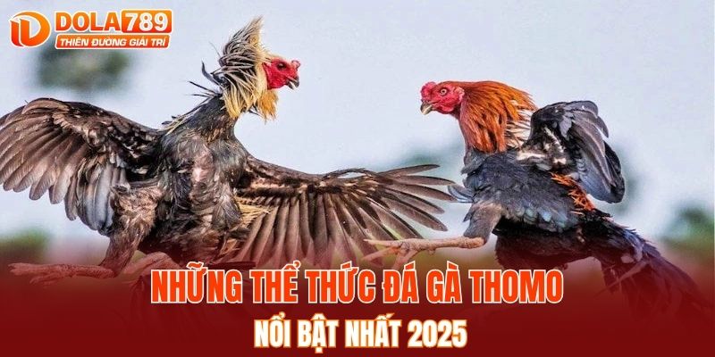Những thể thức đá gà Thomo nổi bật nhất 2025