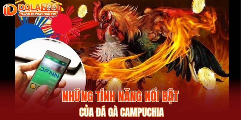Những tính năng nổi bật của đá gà Campuchia