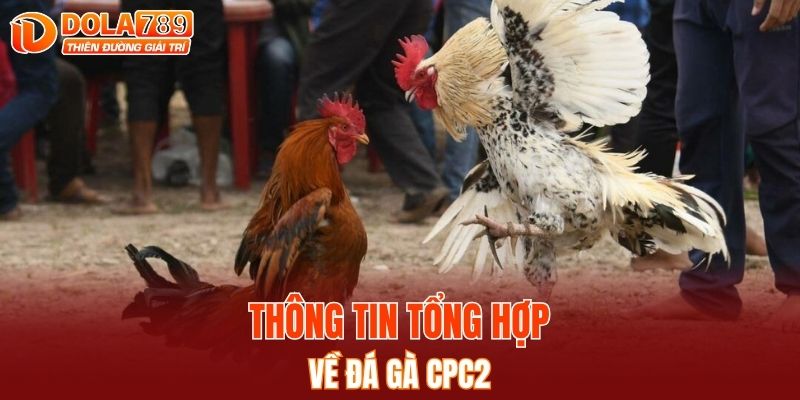 Thông tin tổng hợp về đá gà CPC2
