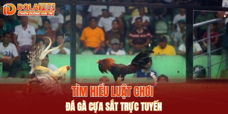 Tìm hiểu luật chơi đá gà cựa sắt trực tuyến