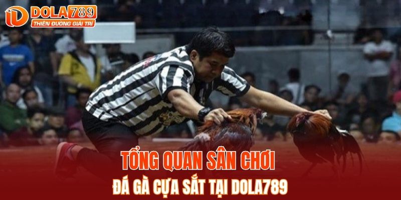 Tổng quan sân chơi đá gà cựa sắt tại DOLA789