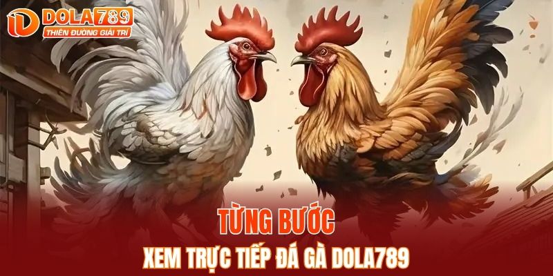 Từng bước xem trực tiếp đá gà DOLA789