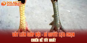 vảy liên giáp nội